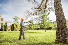 Best Hazardous Tree Removal  in Aransas Pass, TX