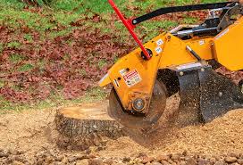 Best Tree Health Inspection  in Aransas Pass, TX